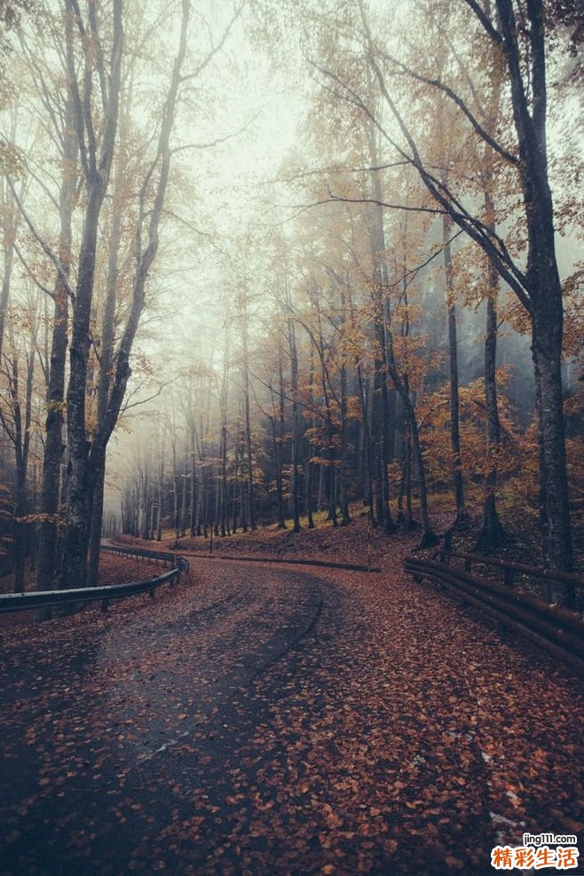 先天性高肩胛症的预防