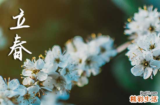 2024年立春是哪天星期几