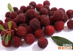 杨梅冻着好吃吗 杨梅冷冻之前要洗吗