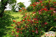 2024年打春农历哪一天几点