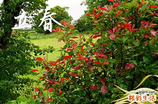 2024年打春农历哪一天几点