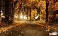 婴儿湿疹的症状有哪些？宝宝为什么会患上婴儿湿疹？