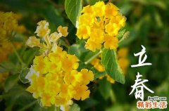 2024年立春是几九第几天