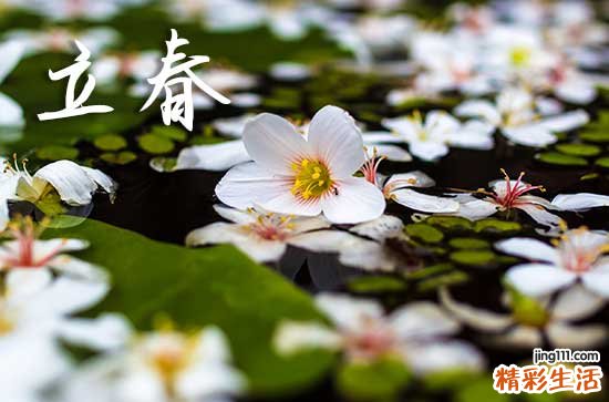 今天立春几号几点2024年