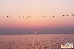 高空坠落该如何进行急救？