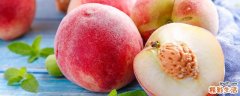 硬桃子和软桃子的区别 桃子怎么保存不会变软