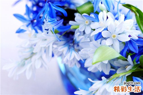 寄生虫会引起荨麻疹吗