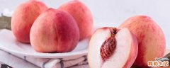 桃子冷库最长能放多久 桃子多了吃不了怎么办