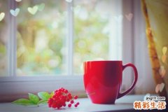 弯曲杆菌感染,弯曲菌感染 弯曲菌肠炎