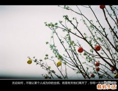 打狂犬疫苗的副作用