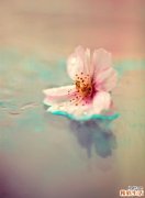 第一次产检检查什么