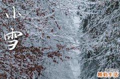 小雪节气一般什么温度,小雪节气天气冷吗