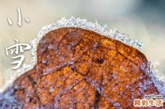 2023年节气小雪几月几号几点钟
