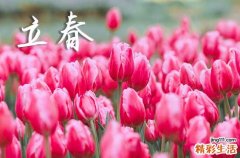 2024年立春时间农历是几号