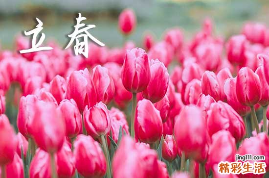 2024年立春时间农历是几号