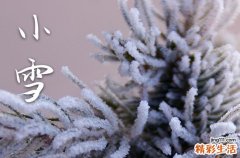 小雪是2023的几月几日