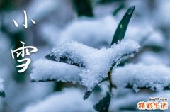 2023年小雪11月22几点小雪