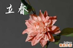 2024年农历哪天立春
