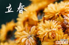 今年啥时候立春2024年