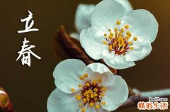 2024年2月4日几点立春