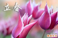 今年哪天打春几点2024年