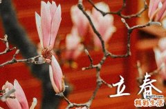 2024打春是哪天