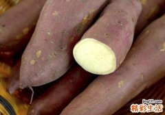 红薯跟甘蔗可以同吃吗 红薯和甘蔗同吃会怎么样