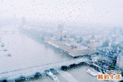恋爱挫折综合征是怎么回事？