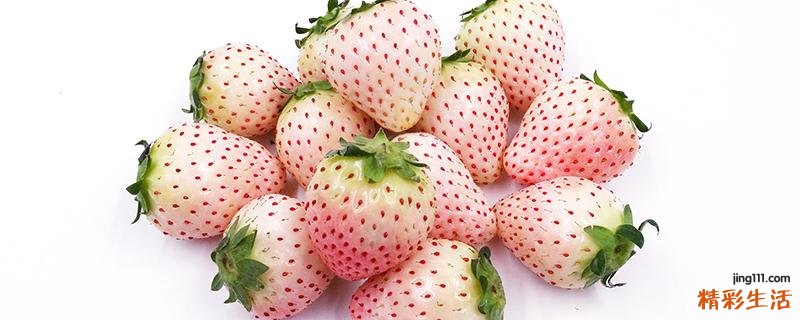 菠萝莓是什么颜色的 草莓有巧克力味的吗