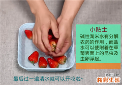 草莓怎么洗 草莓怎么洗才干净