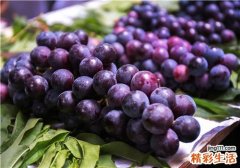 葡萄变硬了还能吃吗 葡萄裂开了是怎么回事