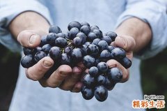 葡萄和牛奶能一起吃吗 葡萄和海鲜能一起吃吗