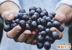 葡萄和苹果能一起吃吗 葡萄和苹果能一起榨汁吗