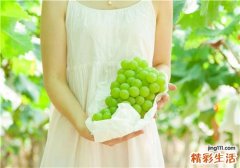 青葡萄和紫葡萄哪个好 青葡萄和紫葡萄的区别