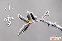 2023年小雪节气在几号