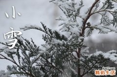 2023小雪节气具体时间表是哪一天