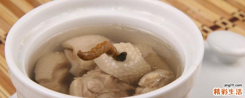 鸽子汤能放胡萝卜吗 鸽子炖胡萝卜的做法