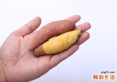 红薯可以和芋头一起吃吗 宝宝便秘能吃红薯吗