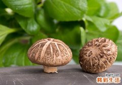 鲜香菇可以冷冻保存吗 香菇怎么保存时间长