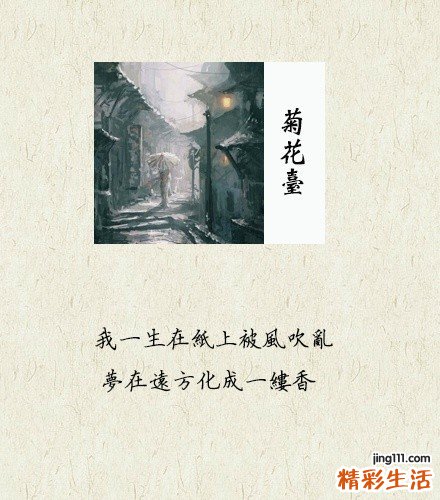 鱼尾葵叶