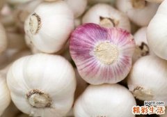 大蒜发芽了还能吃吗 会不会中毒？