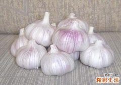 大蒜和白酒能治脚臭吗 大蒜白酒治脚臭怎么做