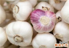 老人吃大蒜好吗 大蒜吃了有什么好处