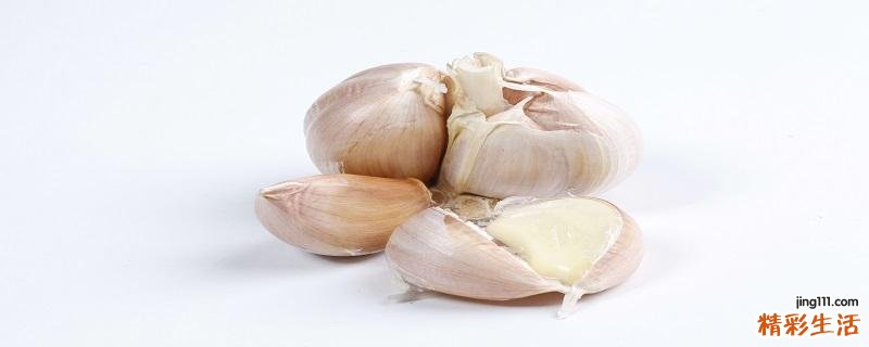 大蒜变黄变软能不能吃 炒大蒜有什么好处