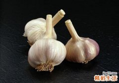 大蒜怎样保存不发芽 想让大蒜不发芽，这样做！