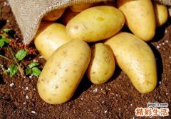 土豆没全熟能吃吗 马铃薯是土豆还是红薯