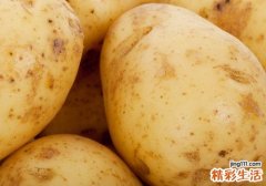 土豆吃了会拉肚子吗 土豆一次可以吃多少