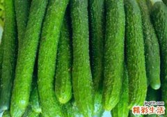 黄瓜吃了有什么好处 食用黄瓜要注意什么