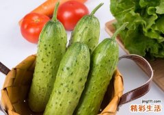 黄瓜可以放冰箱保鲜吗 小龙虾和黄瓜可以吃吗
