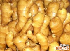 生姜有什么功效 生姜的强大养生功效